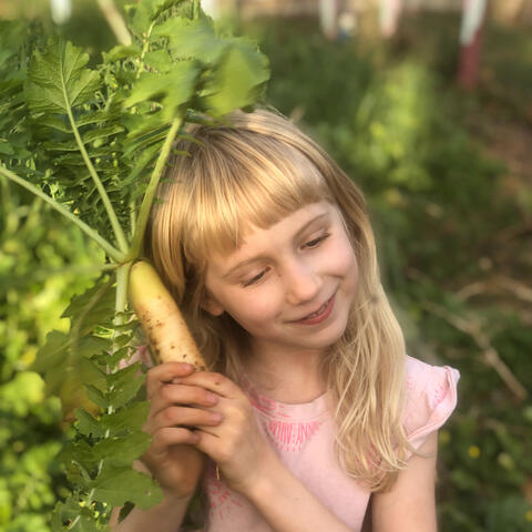 Radish Love
